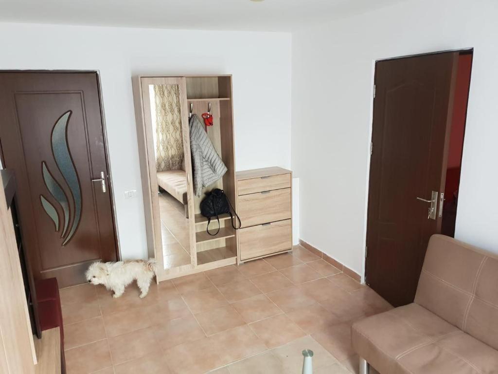 Apartament 2 Camere Tomis Nord 康斯坦察 外观 照片