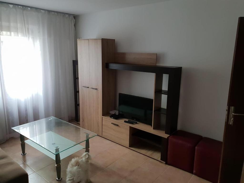 Apartament 2 Camere Tomis Nord 康斯坦察 外观 照片